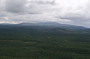 Taiga in the North of Kola Peninsula, photo: Saprykin, 500x327p, 22kb