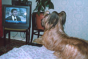 Monika watches TV, photo: Trubina, 400x254p, 31kb