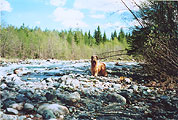 Monika on the river Belay in Hibiny, 12.06.04 (The Day of Independent of Russia :), photo: Trubina, 600x404p, 36kb (low quality becose large)