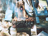 Monika and barbecue, 12.06.04, photo: Trubina, 400x300p, 48kb