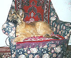 Monika in the easy-chair, photo: Trubina, 359x300p, 53kb