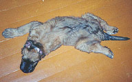 Sweet sleep of Monika, 2 months, photo: Trubina, 550x276p, 45kb