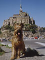 Beauté, 21.09.06 le Mont StMichel - Bretagne - France, photo: Trubina, 400x550p, 50kb