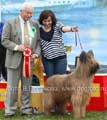 briard Beauté BIG on CACIB-show Nevsky Winner, StPetersbourg, 7.09.08, photo: Polyakov, 400x450p, 40kb