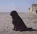 Darsi on sea, 21.09.06 le Mont StMichel - Bretagne - France, photo: Trubina, 380x400p, 24kb