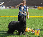 Gwendolen is BOB of Regional Show of Russian Briardclub 21.08.04, Novgorod, photo: kennel Yurmis Fidel, 270x245p, 31kb